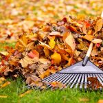 FALL MAINTENANCE: 4 CHORES TO PROTECT YOUR HOME